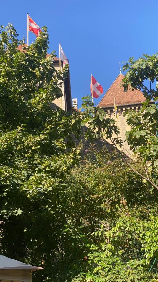 Joli En Vieille D'annecy à 200m Du